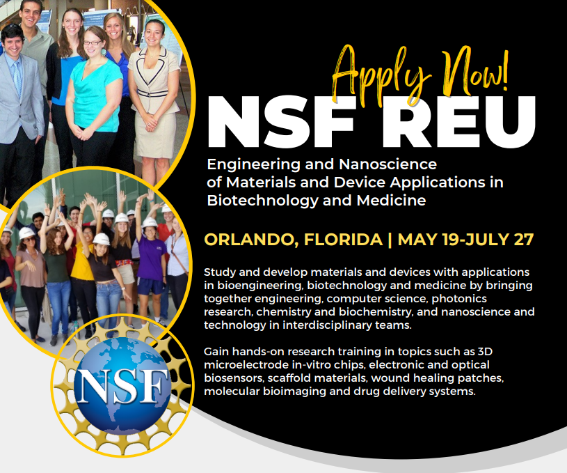 NSF REU